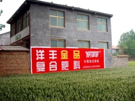 正安如何让墙体广告展现最大化效果