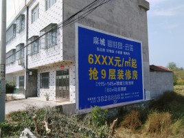 正安墙体广告质量分析
