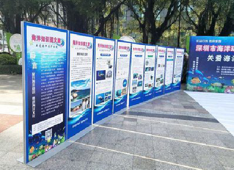 正安KT板的种类和知识。